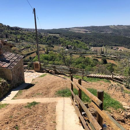 Podere Soccorso Casa Vigneto Montalcino Buitenkant foto