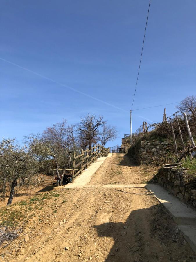Podere Soccorso Casa Vigneto Montalcino Buitenkant foto