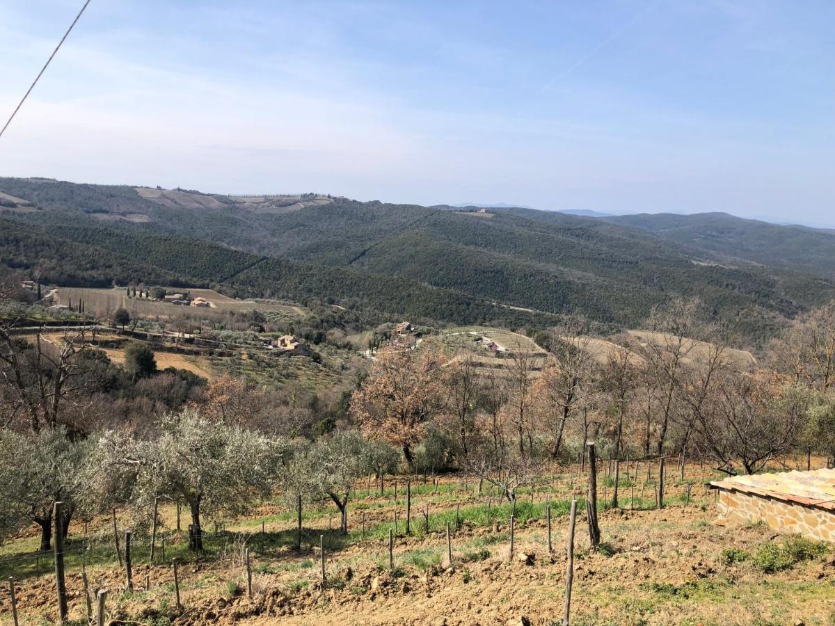 Podere Soccorso Casa Vigneto Montalcino Buitenkant foto