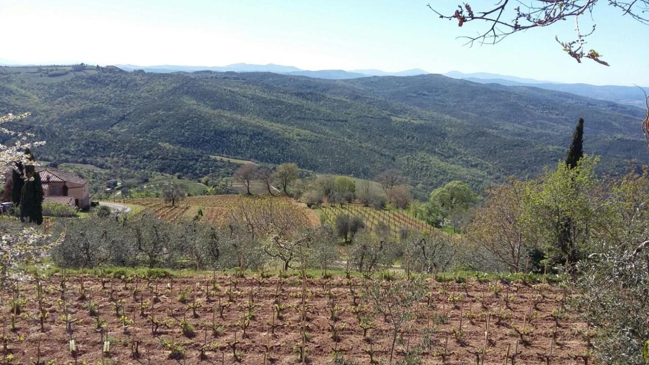 Podere Soccorso Casa Vigneto Montalcino Buitenkant foto