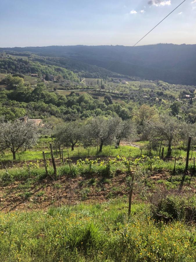 Podere Soccorso Casa Vigneto Montalcino Buitenkant foto